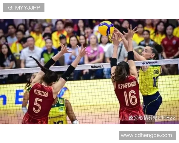 最新排球节奏排行榜揭晓上海排球队强势领跑引发热议